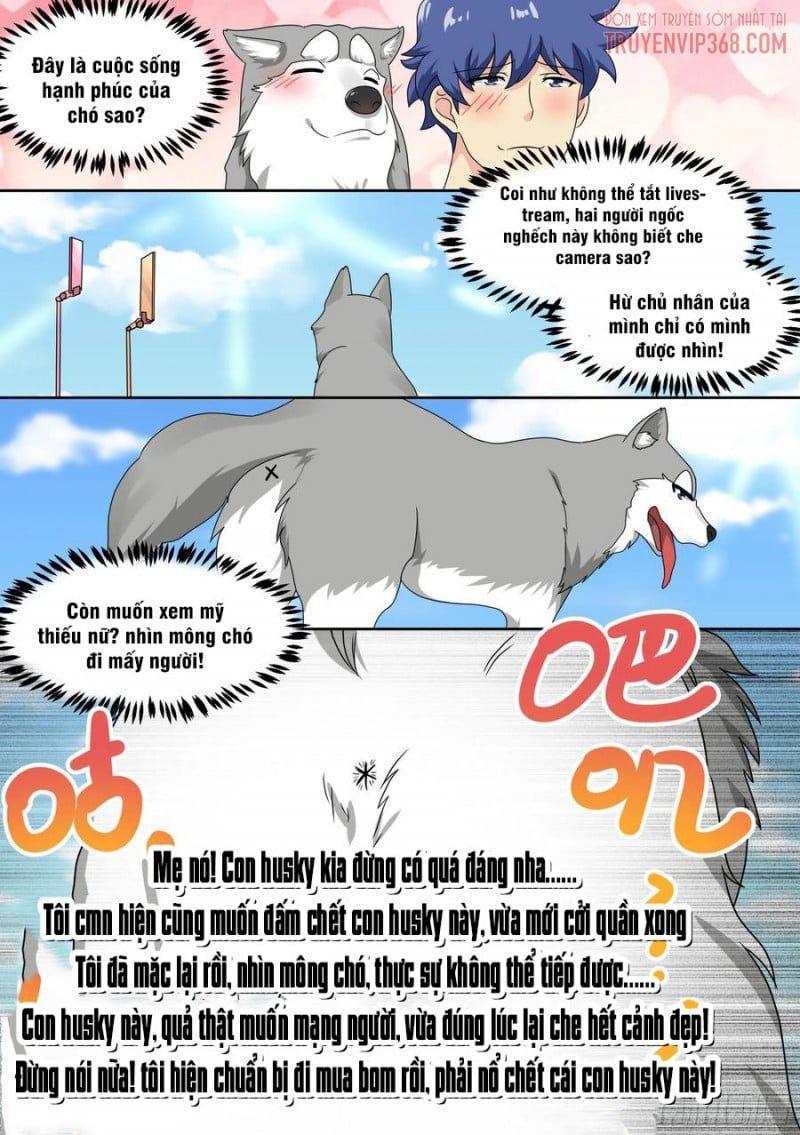 đọc truyện Trọng Sinh Thành Chó Của Nữ Thần Chương 19 ảnh 15 tại Thiên Thai Truyện