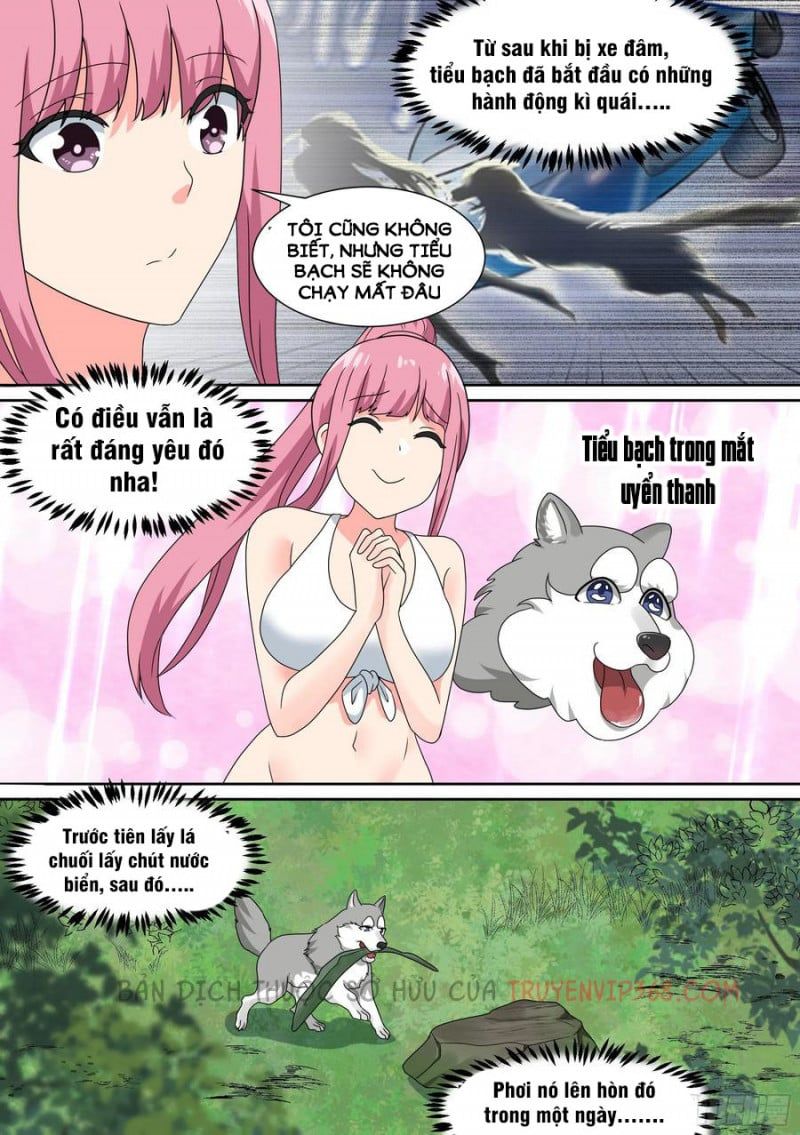 đọc truyện Trọng Sinh Thành Chó Của Nữ Thần Chương 19 ảnh 17 tại Thiên Thai Truyện