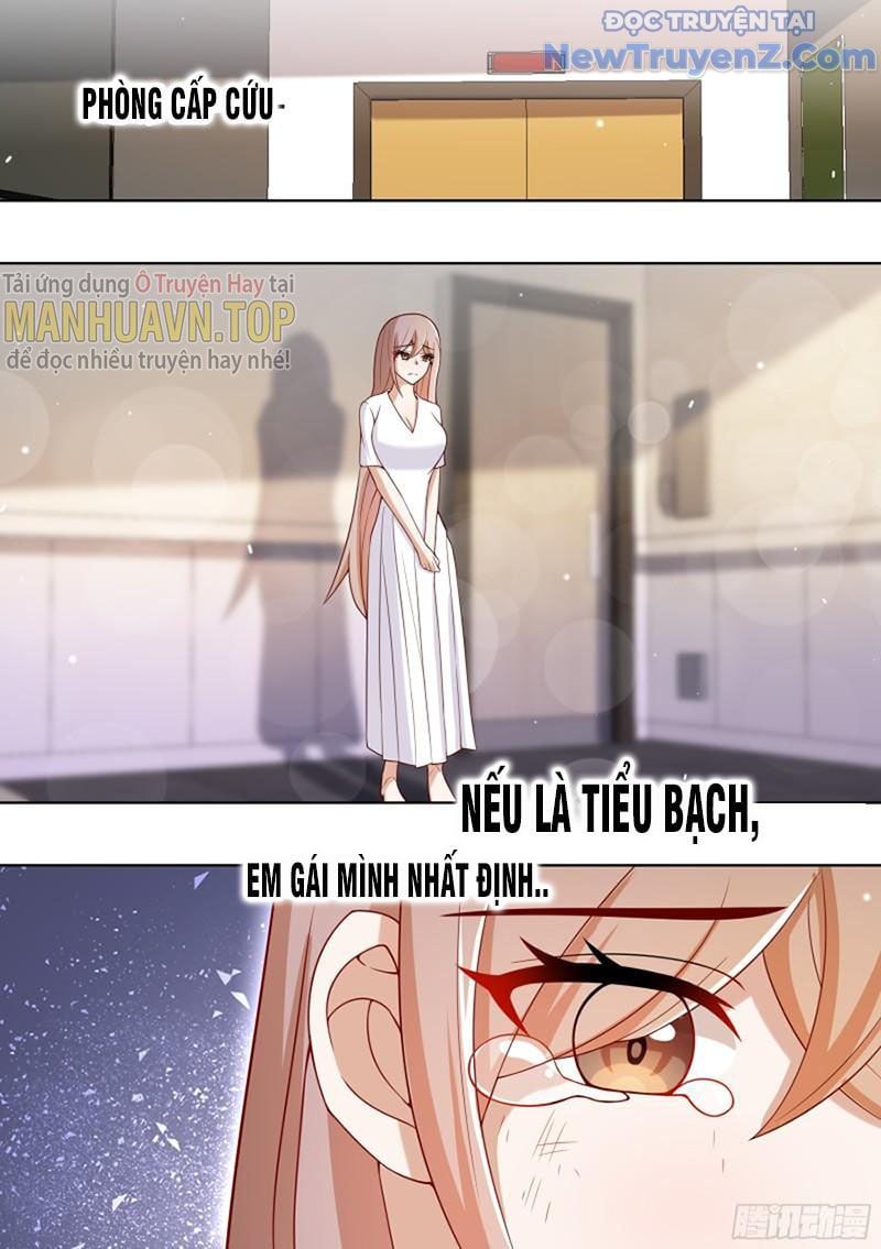 đọc truyện Trọng Sinh Thành Chó Của Nữ Thần Chương 195 ảnh 7 tại Thiên Thai Truyện