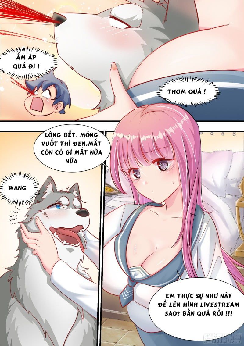 đọc truyện Trọng Sinh Thành Chó Của Nữ Thần Chương 2 ảnh 15 tại Thiên Thai Truyện