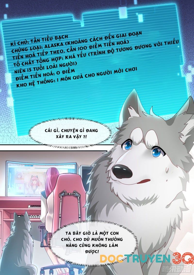 đọc truyện Trọng Sinh Thành Chó Của Nữ Thần Chương 2 ảnh 5 tại Thiên Thai Truyện