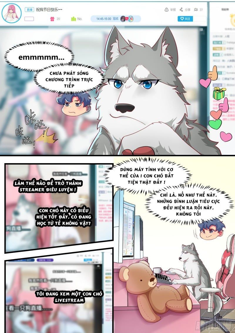 đọc truyện Trọng Sinh Thành Chó Của Nữ Thần Chương 2 ảnh 7 tại Thiên Thai Truyện