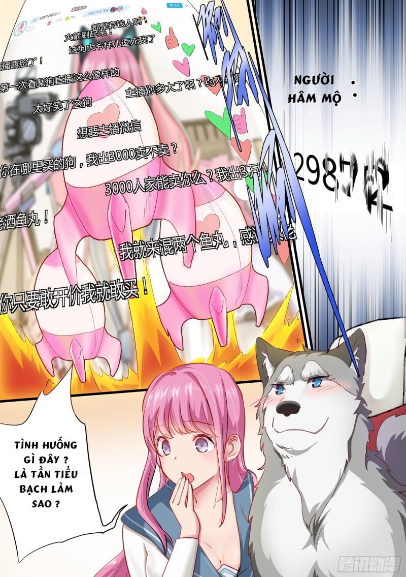 đọc truyện Trọng Sinh Thành Chó Của Nữ Thần Chương 2 ảnh 10 tại Thiên Thai Truyện