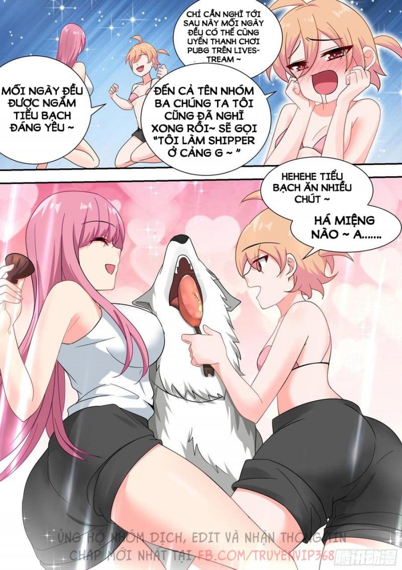 đọc truyện Trọng Sinh Thành Chó Của Nữ Thần Chương 20 ảnh 11 tại Thiên Thai Truyện