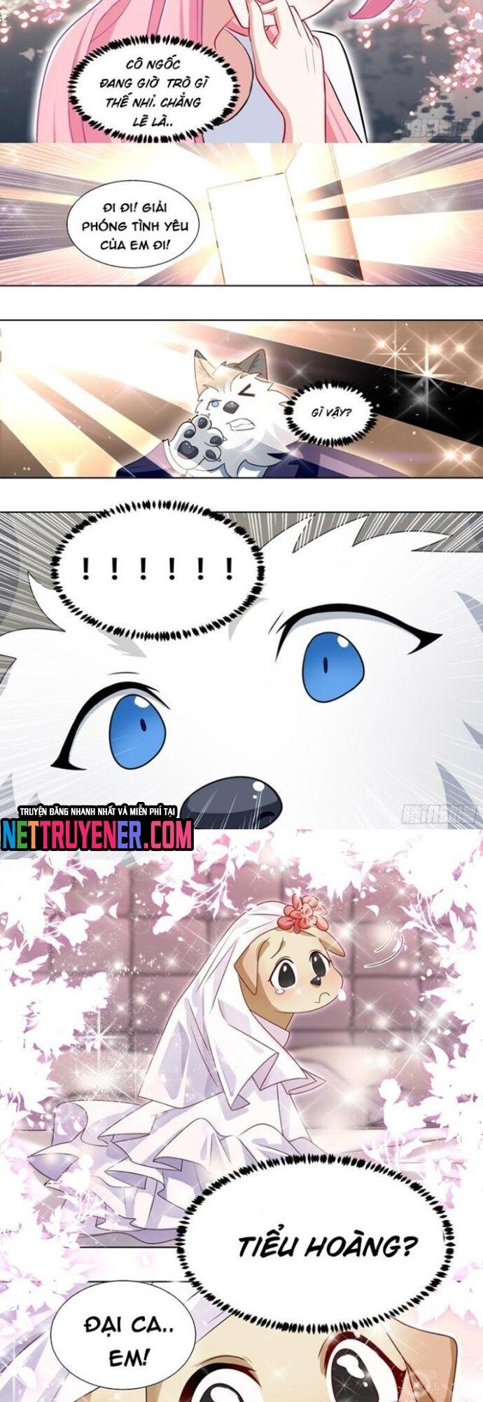 đọc truyện Trọng Sinh Thành Chó Của Nữ Thần Chương 219 ảnh 6 tại Thiên Thai Truyện