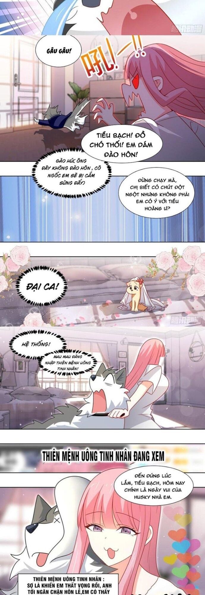 đọc truyện Trọng Sinh Thành Chó Của Nữ Thần Chương 219 ảnh 8 tại Thiên Thai Truyện