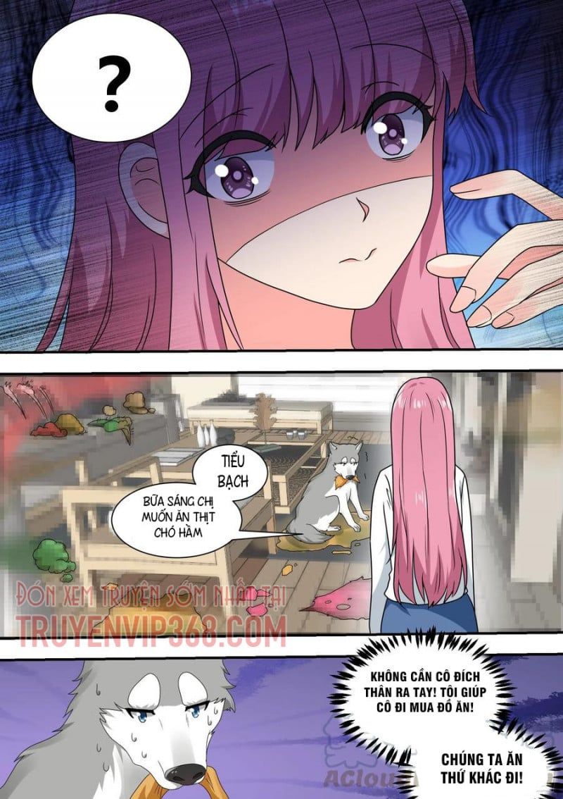 đọc truyện Trọng Sinh Thành Chó Của Nữ Thần Chương 22 ảnh 13 tại Thiên Thai Truyện