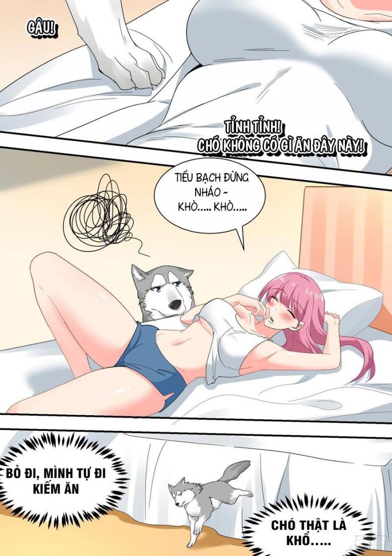 đọc truyện Trọng Sinh Thành Chó Của Nữ Thần Chương 22 ảnh 8 tại Thiên Thai Truyện