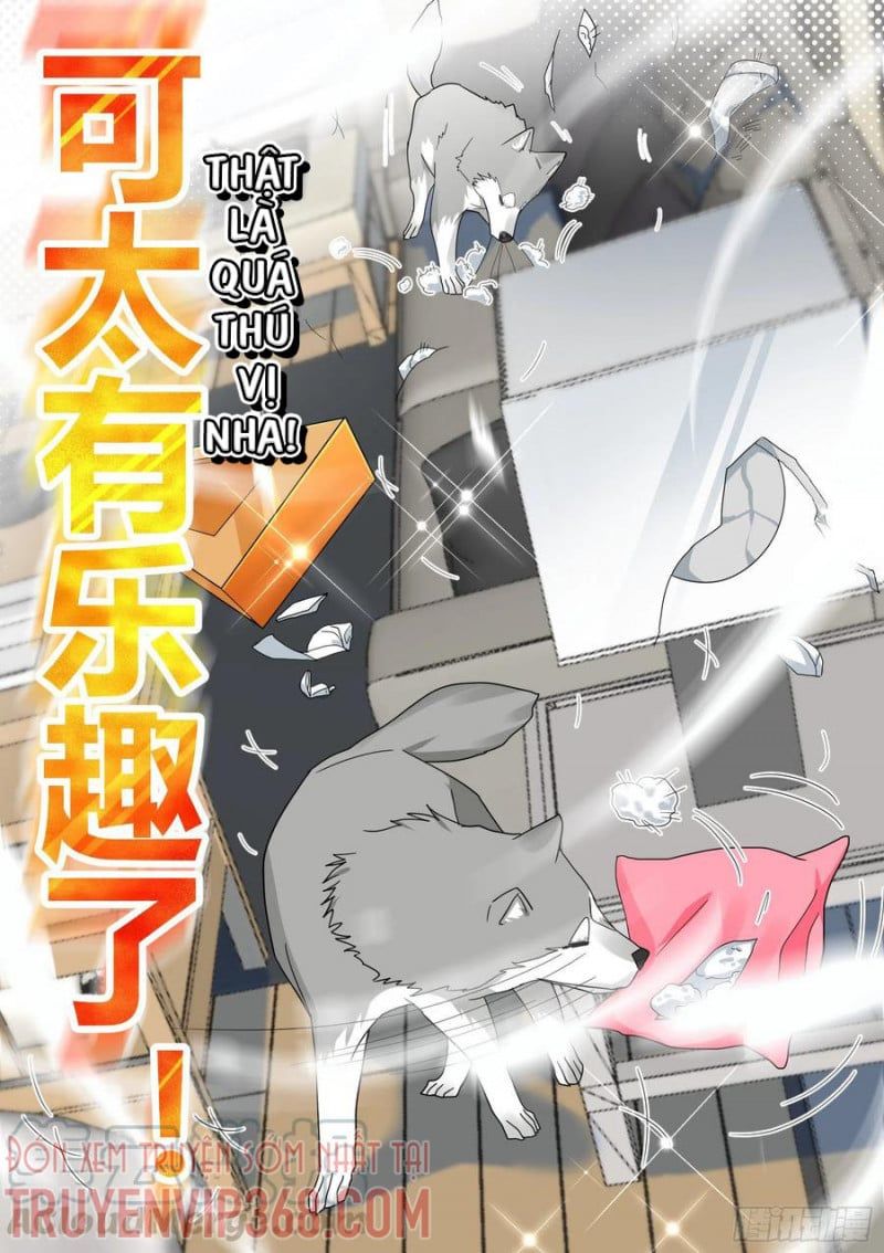 đọc truyện Trọng Sinh Thành Chó Của Nữ Thần Chương 22 ảnh 11 tại Thiên Thai Truyện