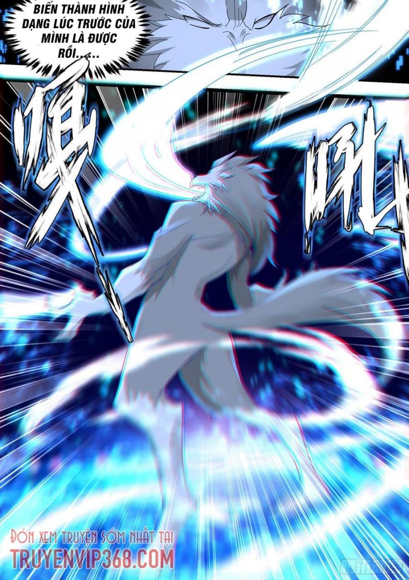 đọc truyện Trọng Sinh Thành Chó Của Nữ Thần Chương 23 ảnh 6 tại Thiên Thai Truyện