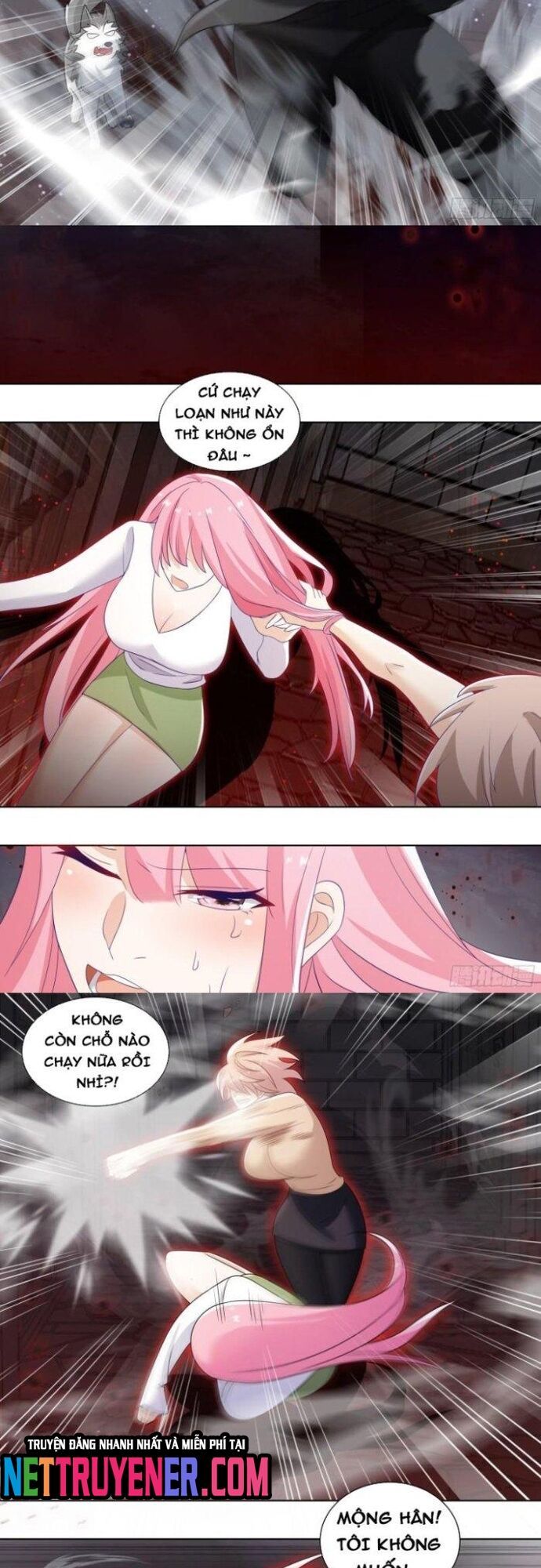 đọc truyện Trọng Sinh Thành Chó Của Nữ Thần Chương 239 ảnh 4 tại Thiên Thai Truyện