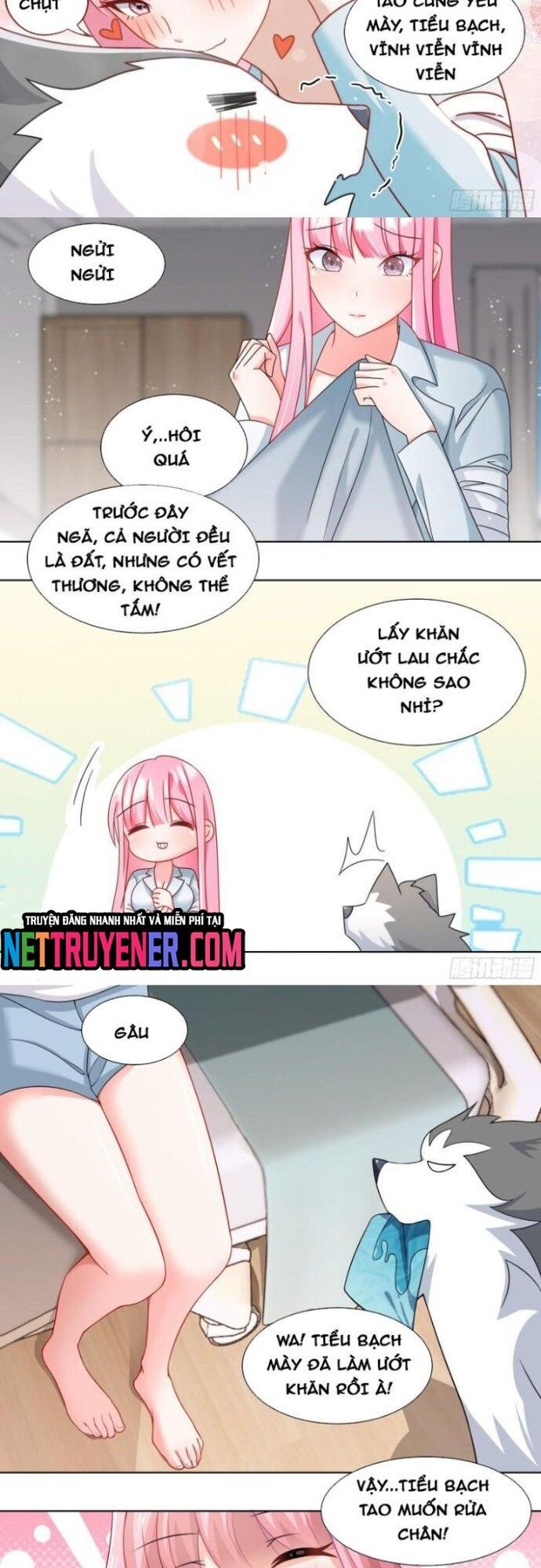 đọc truyện Trọng Sinh Thành Chó Của Nữ Thần Chương 241 ảnh 6 tại Thiên Thai Truyện