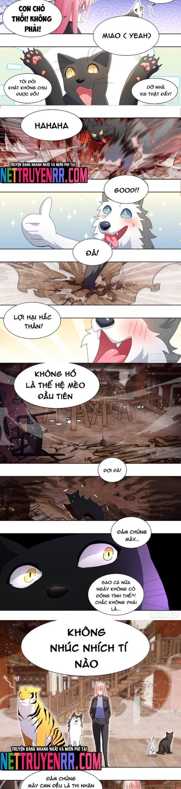 đọc truyện Trọng Sinh Thành Chó Của Nữ Thần Chương 261 ảnh 4 tại Thiên Thai Truyện