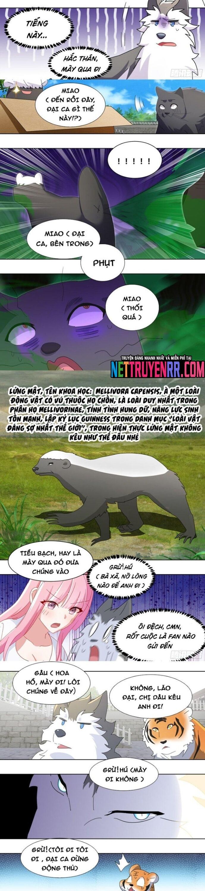 đọc truyện Trọng Sinh Thành Chó Của Nữ Thần Chương 265 ảnh 4 tại Thiên Thai Truyện