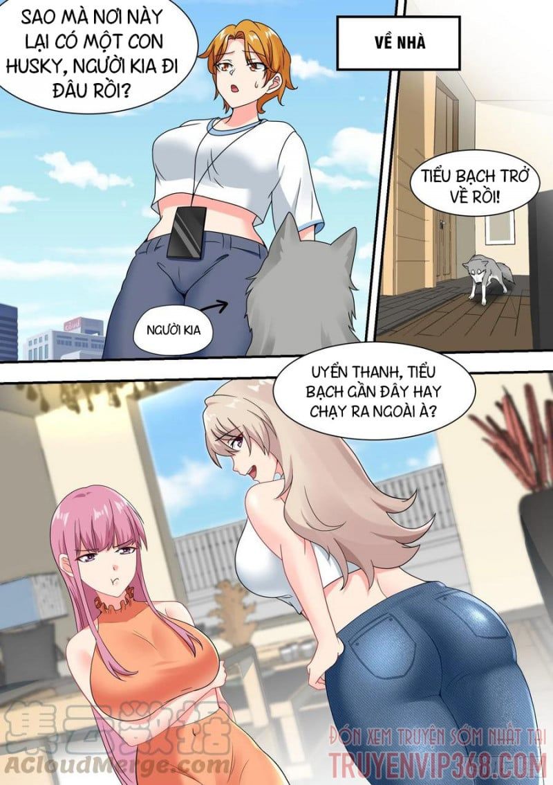 đọc truyện Trọng Sinh Thành Chó Của Nữ Thần Chương 27 ảnh 5 tại Thiên Thai Truyện