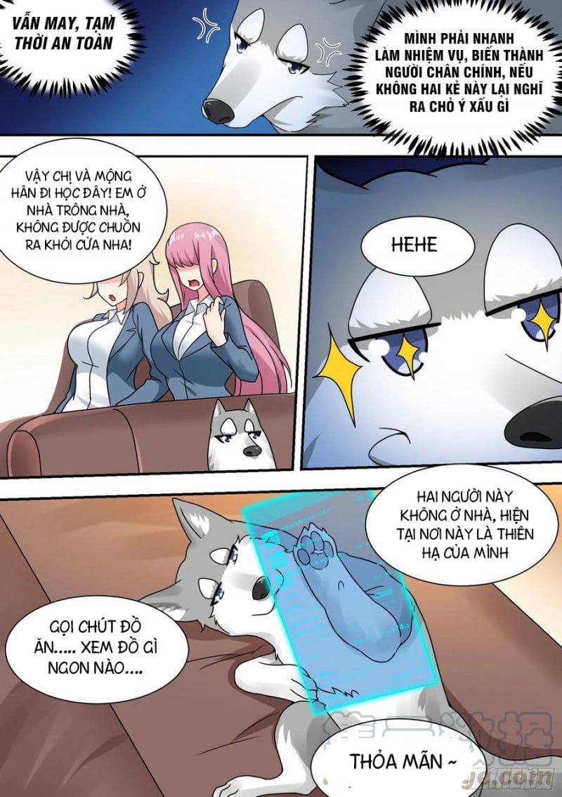 đọc truyện Trọng Sinh Thành Chó Của Nữ Thần Chương 27 ảnh 9 tại Thiên Thai Truyện