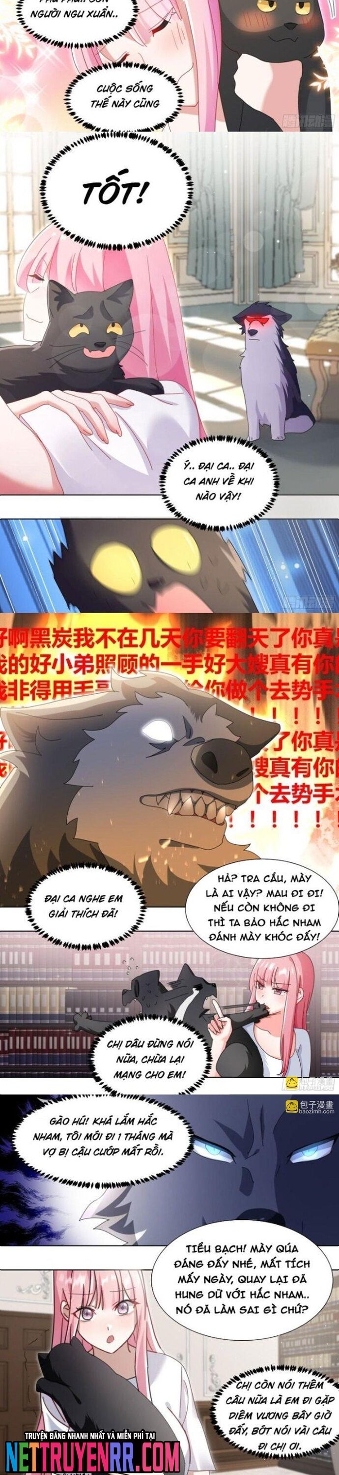 đọc truyện Trọng Sinh Thành Chó Của Nữ Thần Chương 280 ảnh 4 tại Thiên Thai Truyện