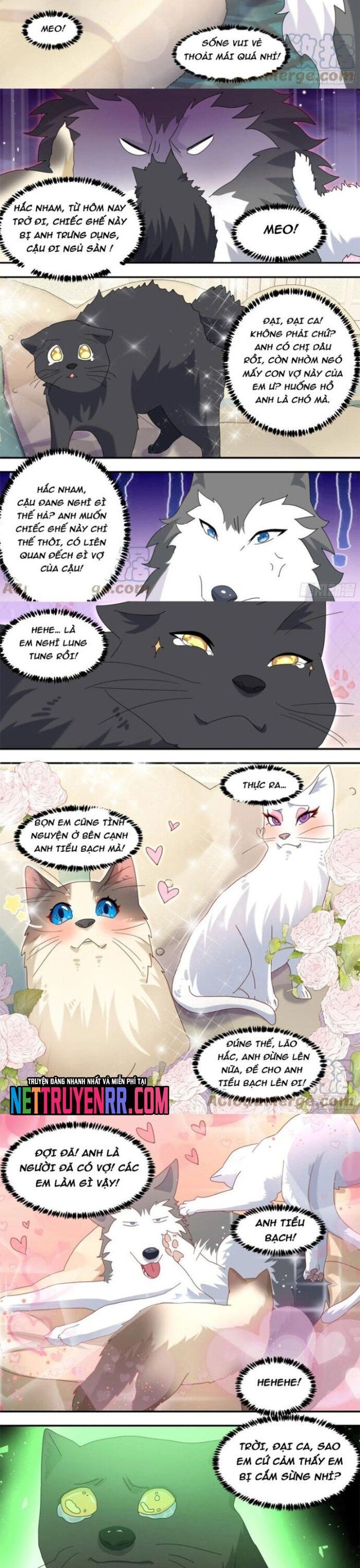 đọc truyện Trọng Sinh Thành Chó Của Nữ Thần Chương 289 ảnh 6 tại Thiên Thai Truyện