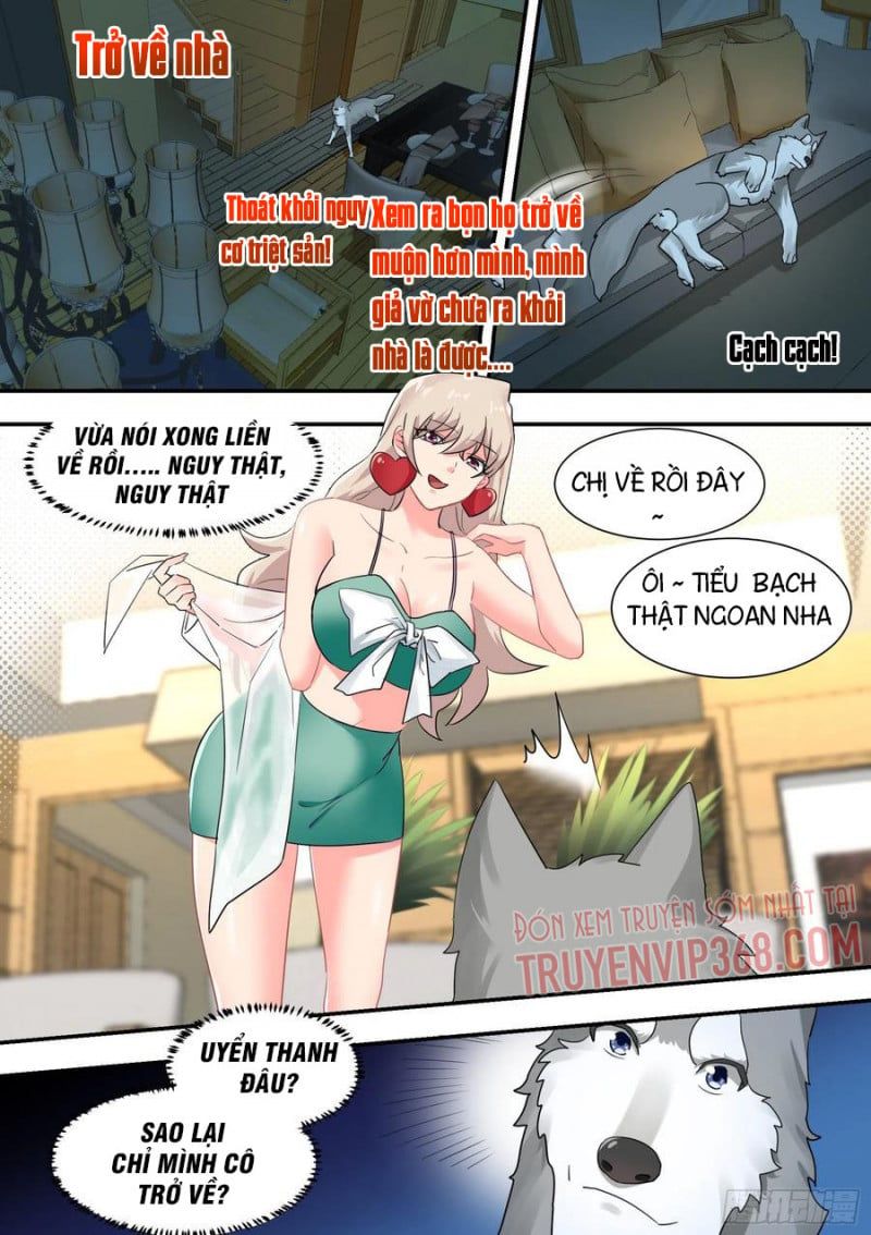 đọc truyện Trọng Sinh Thành Chó Của Nữ Thần Chương 29 ảnh 18 tại Thiên Thai Truyện