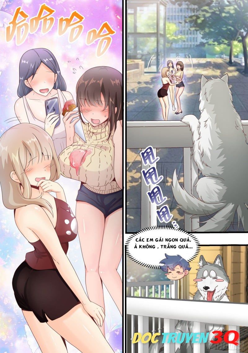 đọc truyện Trọng Sinh Thành Chó Của Nữ Thần Chương 3 ảnh 5 tại Thiên Thai Truyện