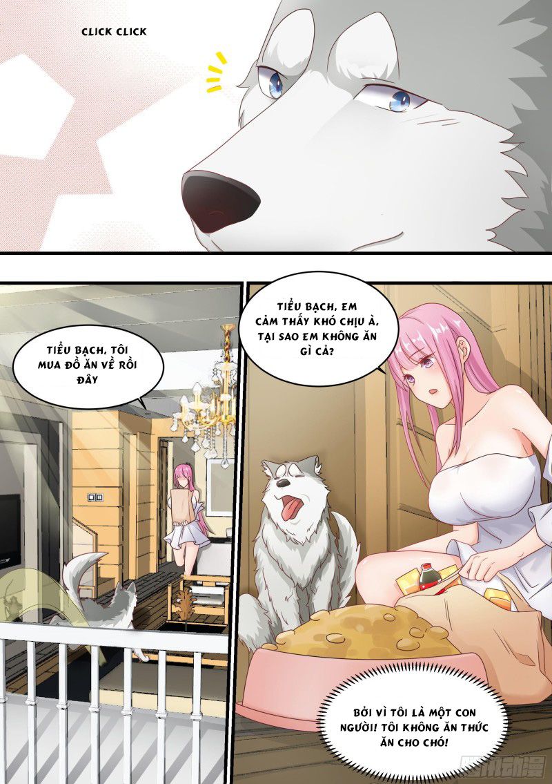 đọc truyện Trọng Sinh Thành Chó Của Nữ Thần Chương 3 ảnh 6 tại Thiên Thai Truyện