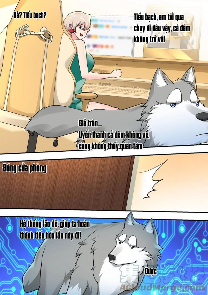 đọc truyện Trọng Sinh Thành Chó Của Nữ Thần Chương 32 ảnh 13 tại Thiên Thai Truyện