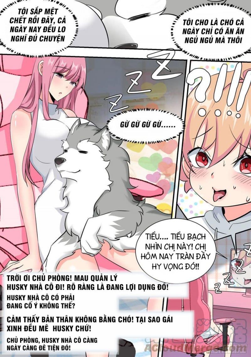 đọc truyện Trọng Sinh Thành Chó Của Nữ Thần Chương 35 ảnh 9 tại Thiên Thai Truyện