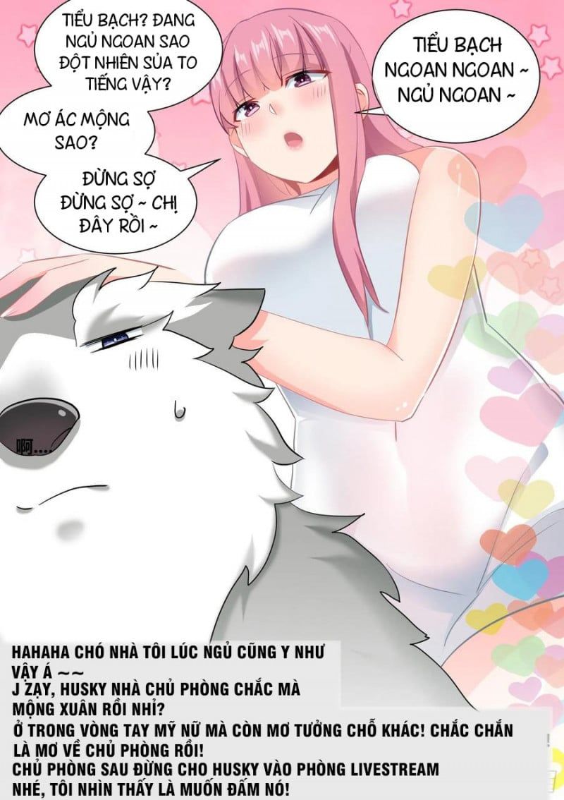 đọc truyện Trọng Sinh Thành Chó Của Nữ Thần Chương 35 ảnh 11 tại Thiên Thai Truyện