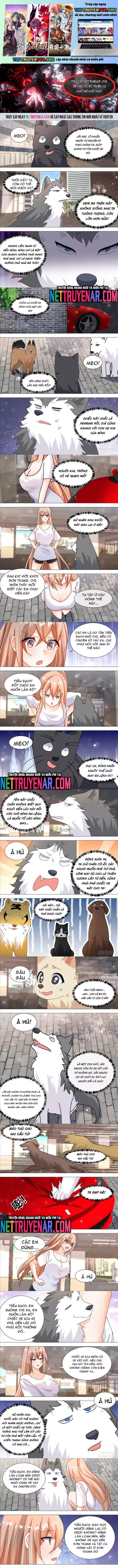 đọc truyện Trọng Sinh Thành Chó Của Nữ Thần Chương 373 ảnh 3 tại Thiên Thai Truyện