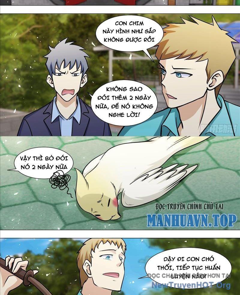 đọc truyện Trọng Sinh Thành Chó Của Nữ Thần Chương 388 ảnh 7 tại Thiên Thai Truyện