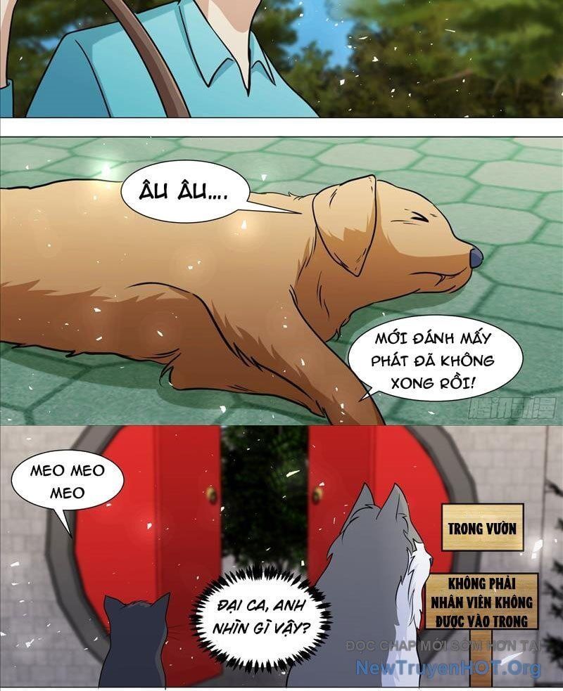 đọc truyện Trọng Sinh Thành Chó Của Nữ Thần Chương 388 ảnh 8 tại Thiên Thai Truyện