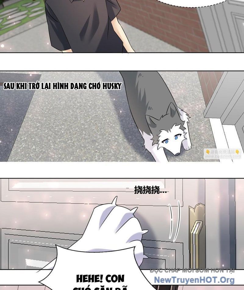 đọc truyện Trọng Sinh Thành Chó Của Nữ Thần Chương 399 ảnh 13 tại Thiên Thai Truyện