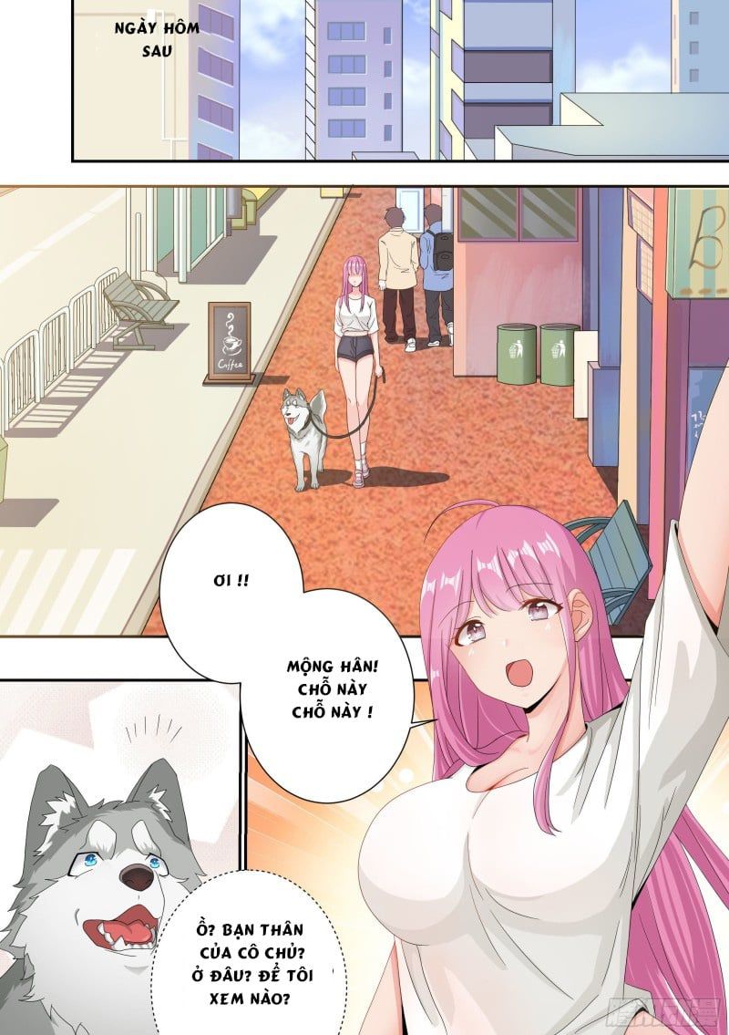 đọc truyện Trọng Sinh Thành Chó Của Nữ Thần Chương 4 ảnh 12 tại Thiên Thai Truyện