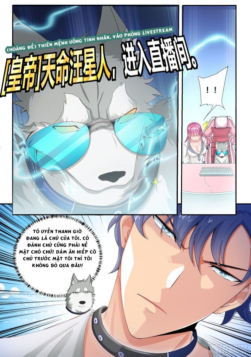 đọc truyện Trọng Sinh Thành Chó Của Nữ Thần Chương 4 ảnh 6 tại Thiên Thai Truyện