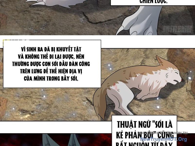 đọc truyện Trọng Sinh Thành Chó Của Nữ Thần Chương 413 ảnh 17 tại Thiên Thai Truyện