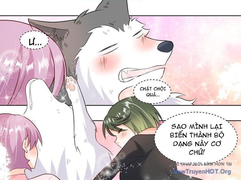 đọc truyện Trọng Sinh Thành Chó Của Nữ Thần Chương 413 ảnh 4 tại Thiên Thai Truyện