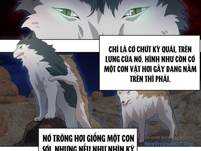 đọc truyện Trọng Sinh Thành Chó Của Nữ Thần Chương 413 ảnh 10 tại Thiên Thai Truyện