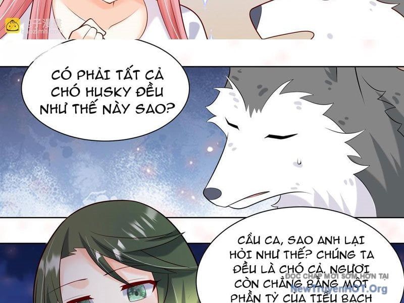 đọc truyện Trọng Sinh Thành Chó Của Nữ Thần Chương 415 ảnh 19 tại Thiên Thai Truyện