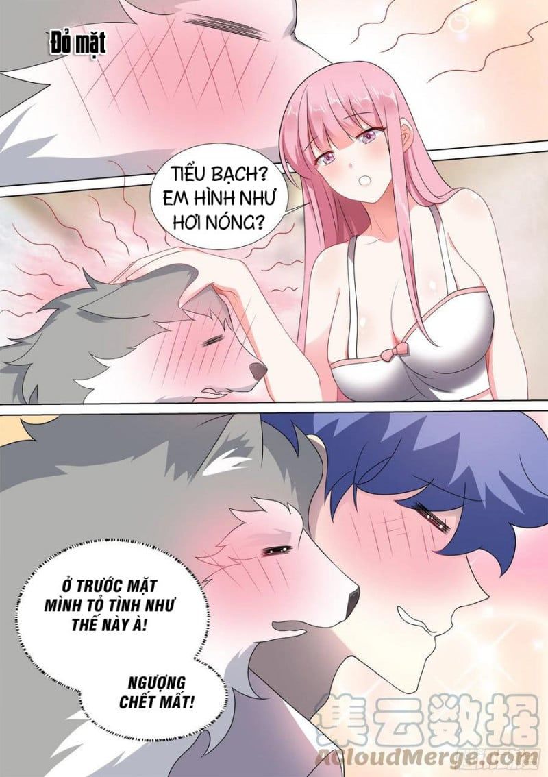 đọc truyện Trọng Sinh Thành Chó Của Nữ Thần Chương 45 ảnh 11 tại Thiên Thai Truyện