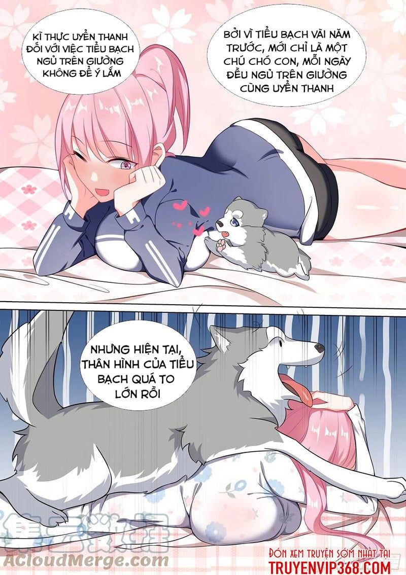 đọc truyện Trọng Sinh Thành Chó Của Nữ Thần Chương 48 ảnh 11 tại Thiên Thai Truyện