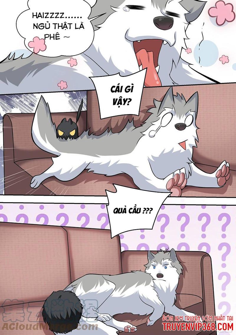 đọc truyện Trọng Sinh Thành Chó Của Nữ Thần Chương 49 ảnh 7 tại Thiên Thai Truyện