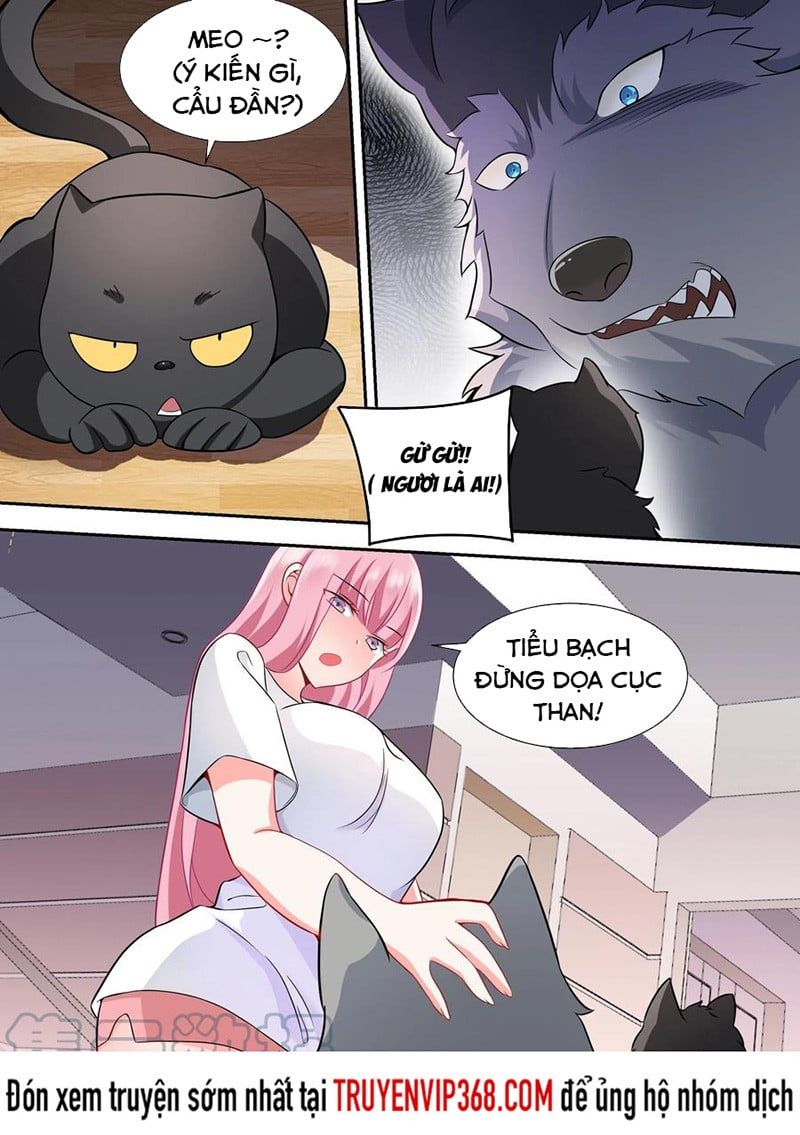 đọc truyện Trọng Sinh Thành Chó Của Nữ Thần Chương 49 ảnh 8 tại Thiên Thai Truyện