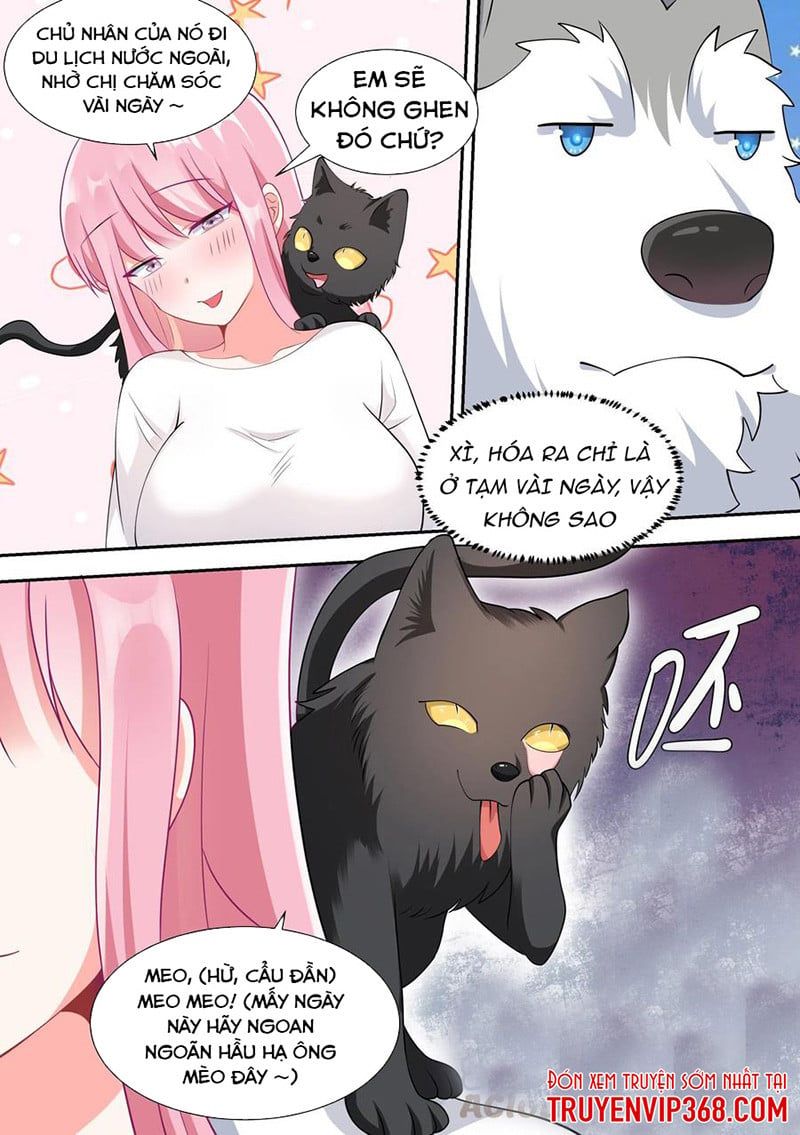 đọc truyện Trọng Sinh Thành Chó Của Nữ Thần Chương 49 ảnh 9 tại Thiên Thai Truyện