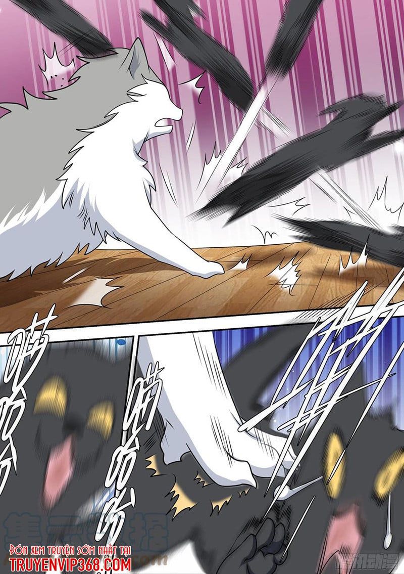 đọc truyện Trọng Sinh Thành Chó Của Nữ Thần Chương 49 ảnh 11 tại Thiên Thai Truyện