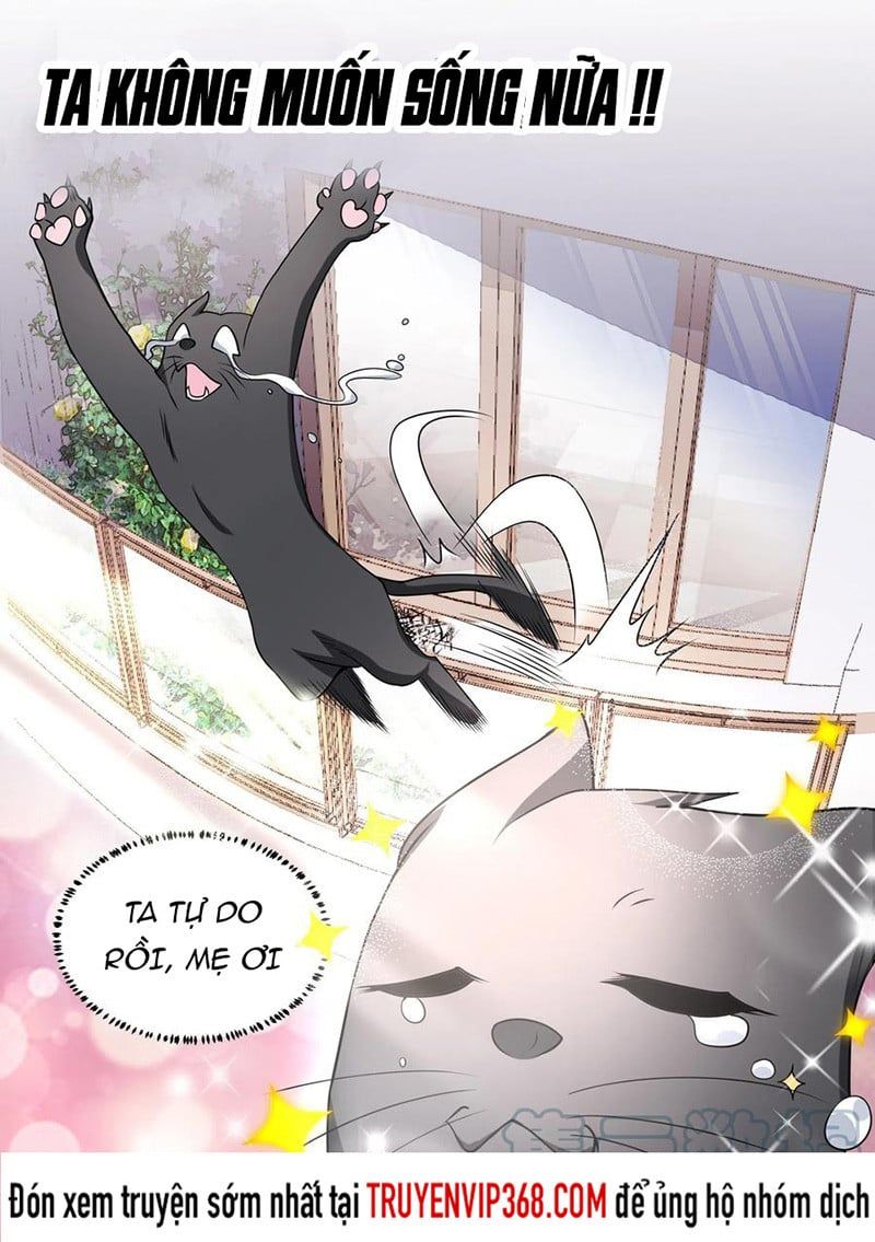 đọc truyện Trọng Sinh Thành Chó Của Nữ Thần Chương 50 ảnh 7 tại Thiên Thai Truyện