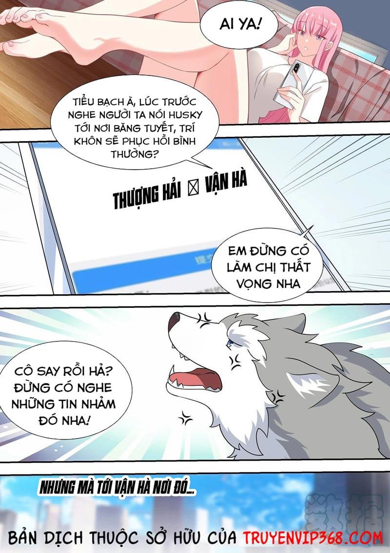 đọc truyện Trọng Sinh Thành Chó Của Nữ Thần Chương 52 ảnh 12 tại Thiên Thai Truyện