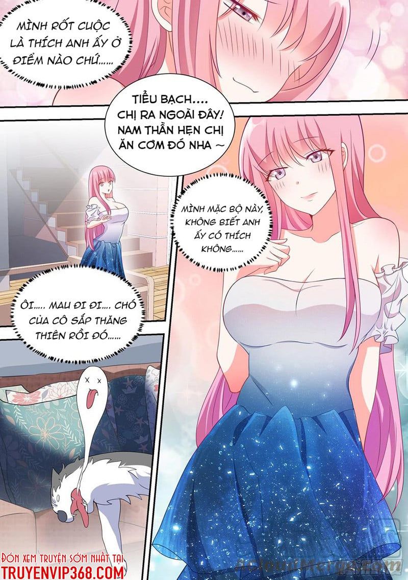 đọc truyện Trọng Sinh Thành Chó Của Nữ Thần Chương 54 ảnh 9 tại Thiên Thai Truyện