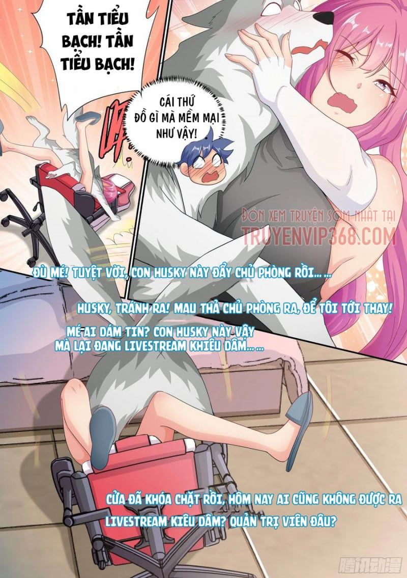 đọc truyện Trọng Sinh Thành Chó Của Nữ Thần Chương 6 ảnh 6 tại Thiên Thai Truyện