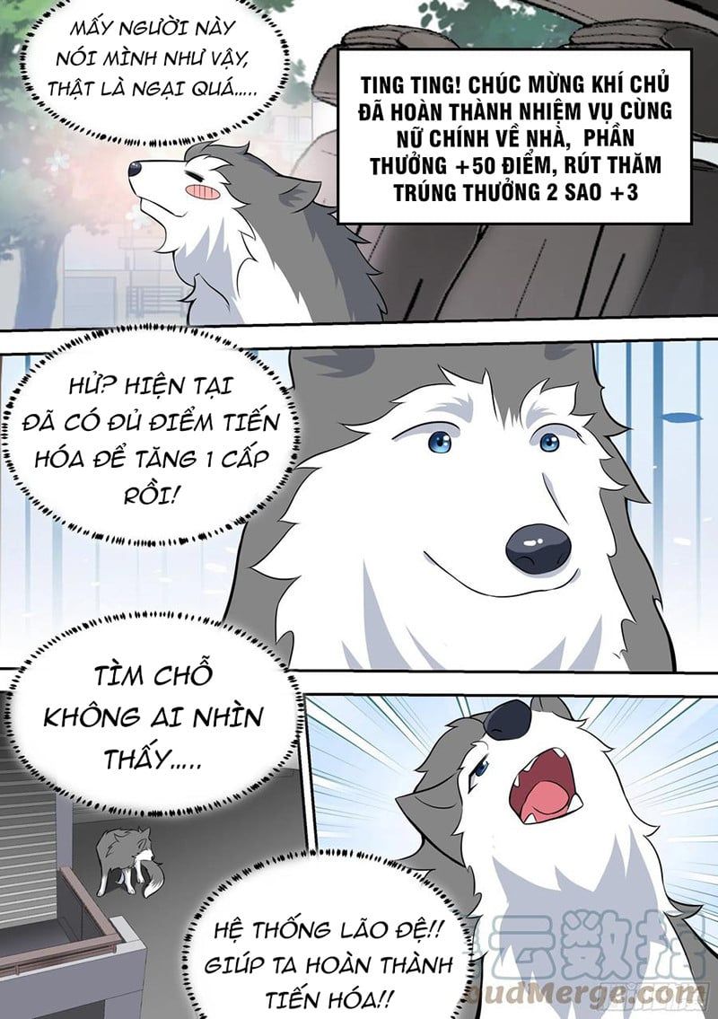 đọc truyện Trọng Sinh Thành Chó Của Nữ Thần Chương 63 ảnh 13 tại Thiên Thai Truyện