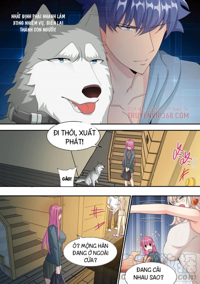 đọc truyện Trọng Sinh Thành Chó Của Nữ Thần Chương 7 ảnh 19 tại Thiên Thai Truyện